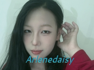 Arlenedaisy