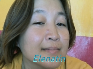 Elenatin