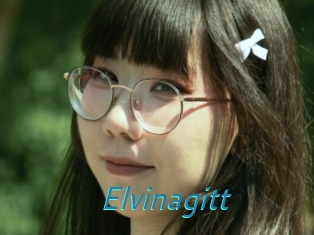 Elvinagitt