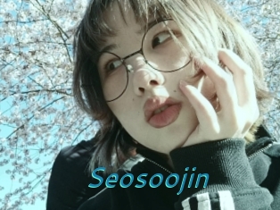 Seosoojin