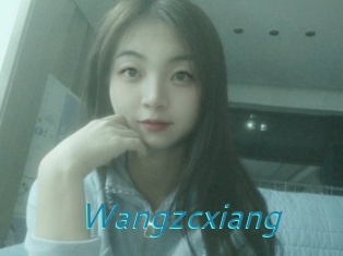 Wangzcxiang