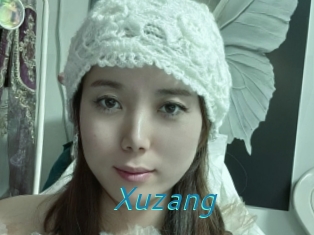 Xuzang